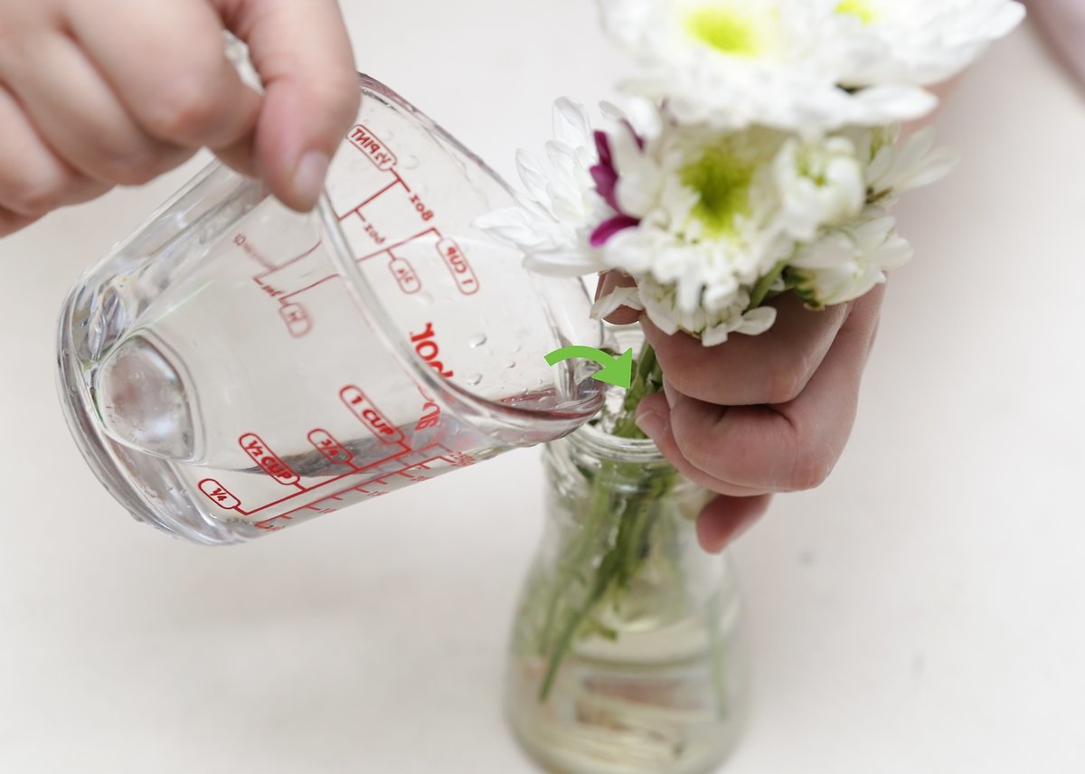 Как сохранить цветы в вазе: 20 советов, проверенных на практике: новости, советы, лайфхаки, цветы, растения, полезные советы