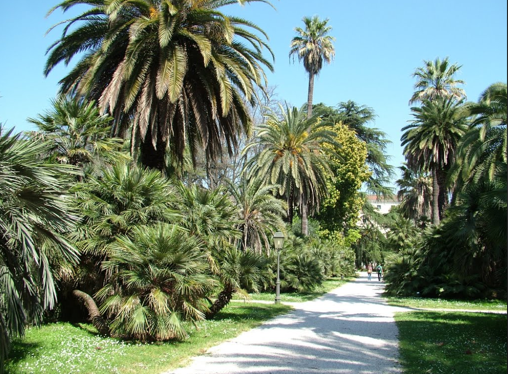 Ботанические сады, рим (италия): история, фото, как добраться, адрес
на карте и время работы в 2023