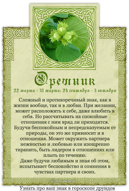 Календарь друидов деревья. древесный календарь