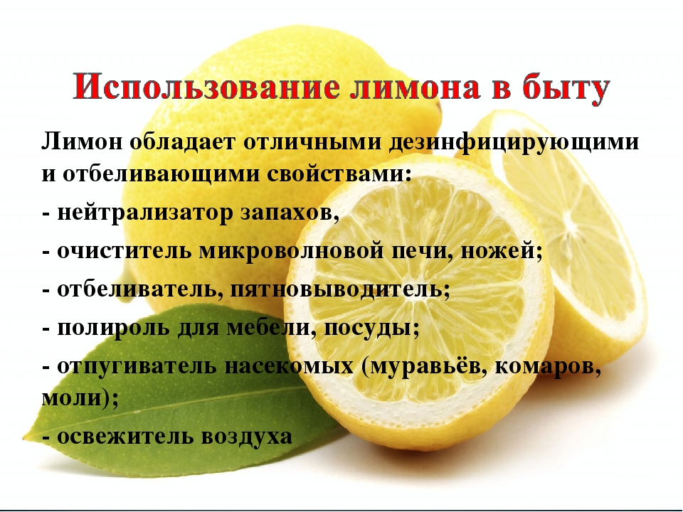 Лимонное дерево: уход в домашних условиях, полив, подкормка и обрезка растения - sadovnikam.ru