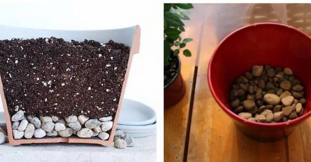 Дренаж для комнатных растений и рассады: как выбрать и сделать своими руками