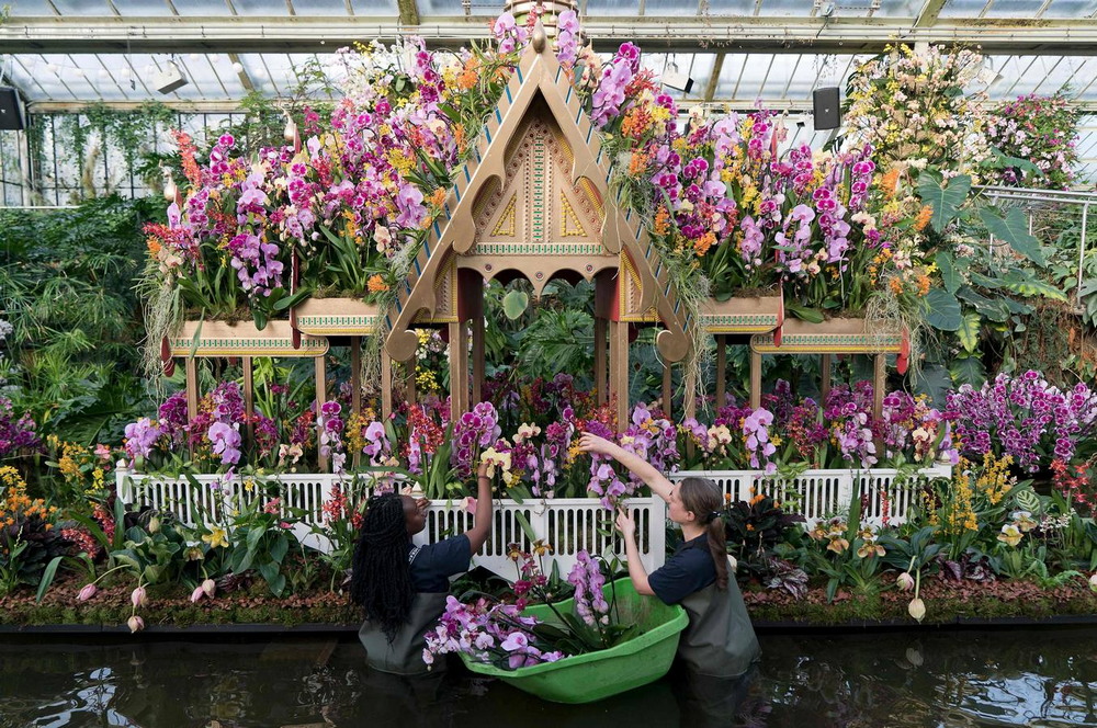 Чем удивил мир знаменитый праздник цветов, вернувшийся в лондон после 2-летнего перерыва « николлетто