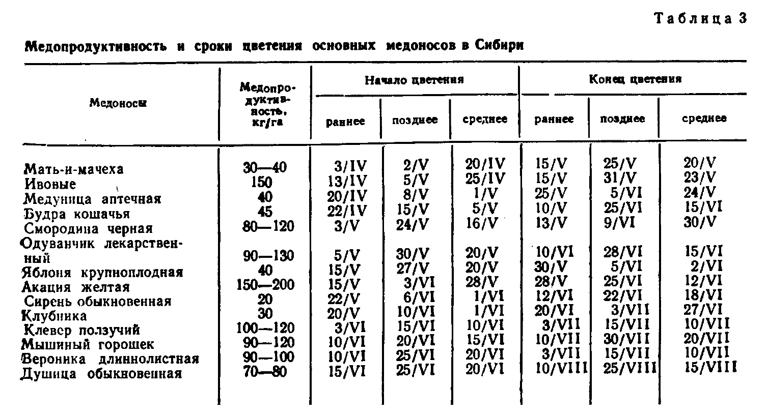 Люпин. использование люпина в качестве сидерата — floraprice.ru
