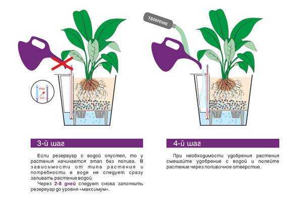 Как часто поливать комнатные растения? — floweryvale.ru