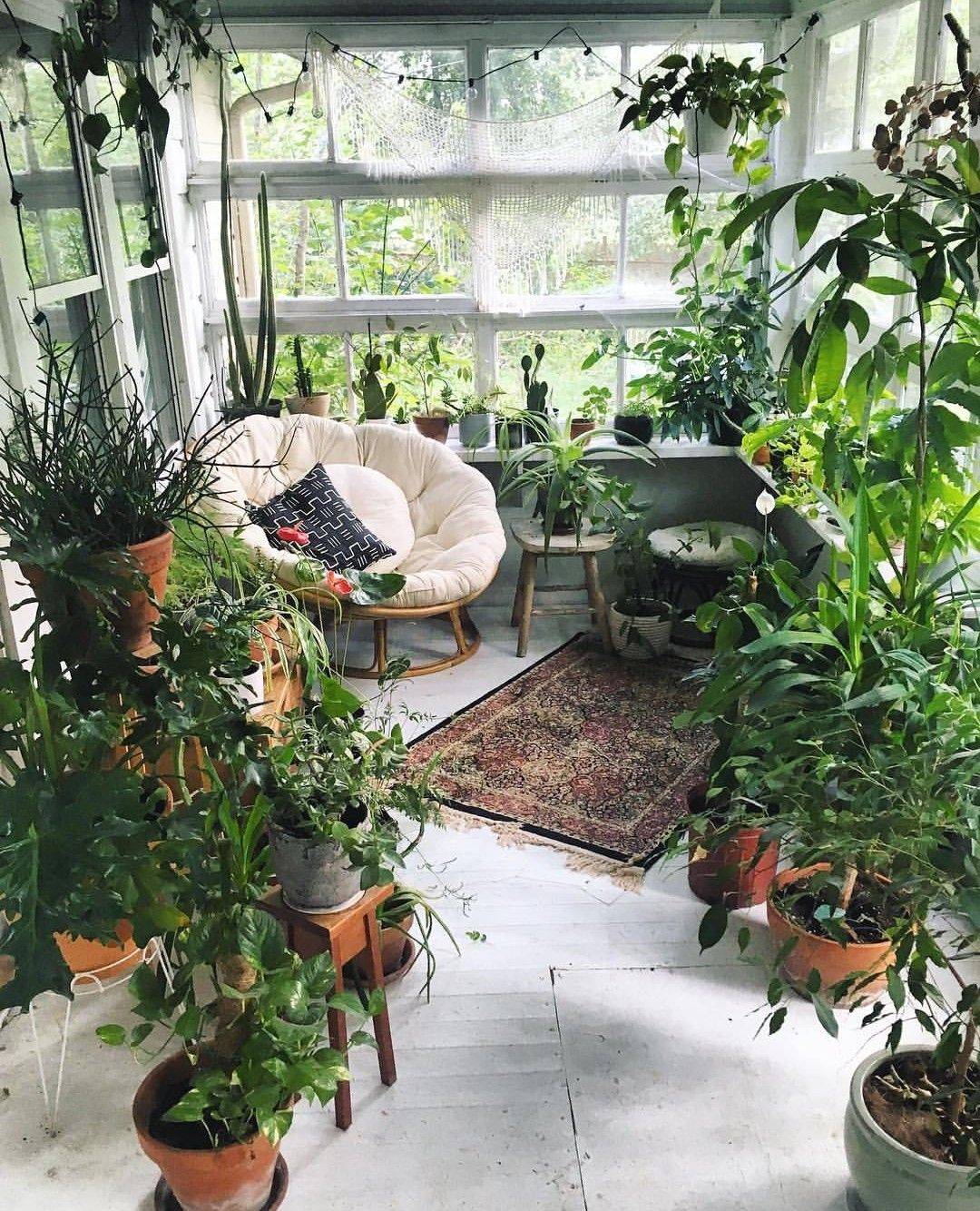 Как создать мини-сад в квартире — идеи и советы. вертикальный сад в квартире: 60+ потрясающих идей зеленого уголка своими руками