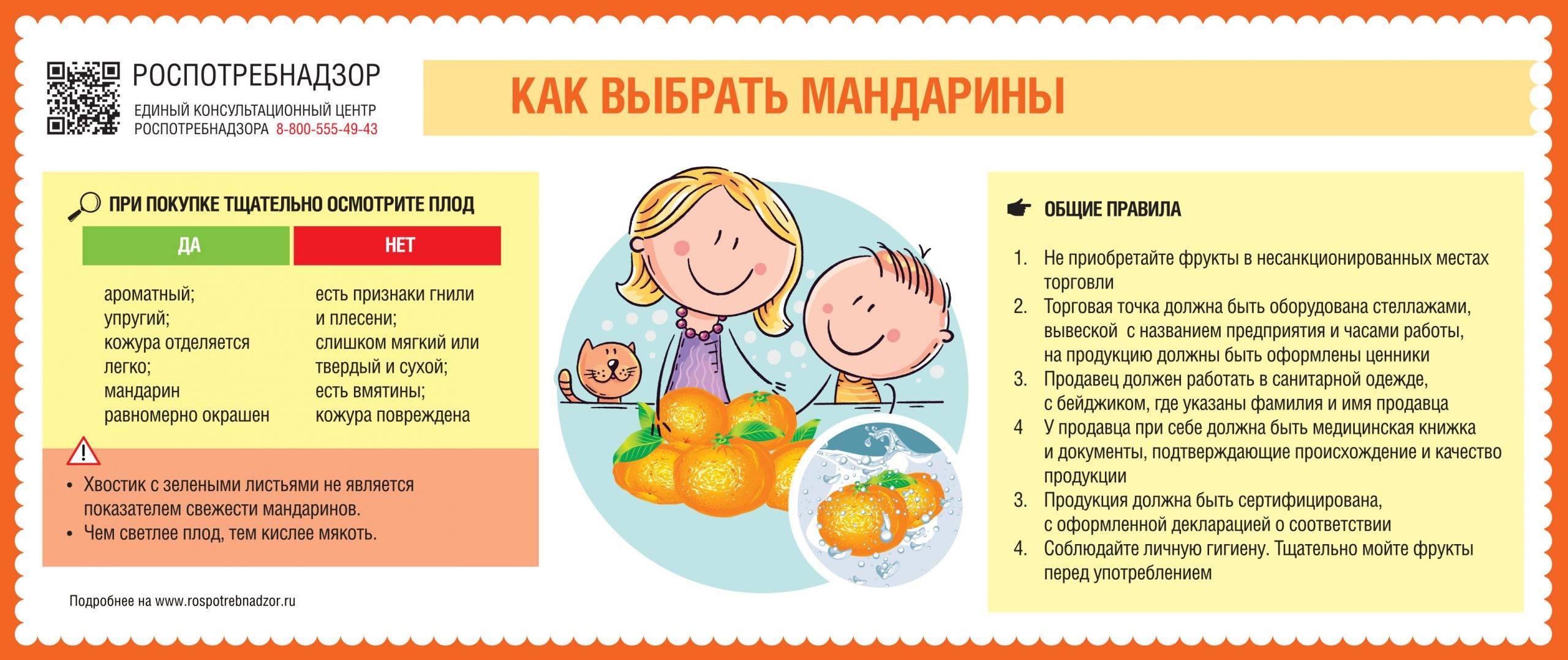 Комнатный мандарин: уход и выращивание в домашних условиях - sadovnikam.ru