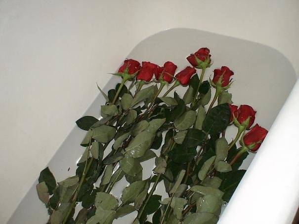 Как оживить розы в вазе. как реанимировать розы? как оживить увядшие розы? лайфхак от компании