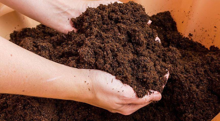 Что ⭐️ такое почва: описание, состав, особенности строения, примеры почв