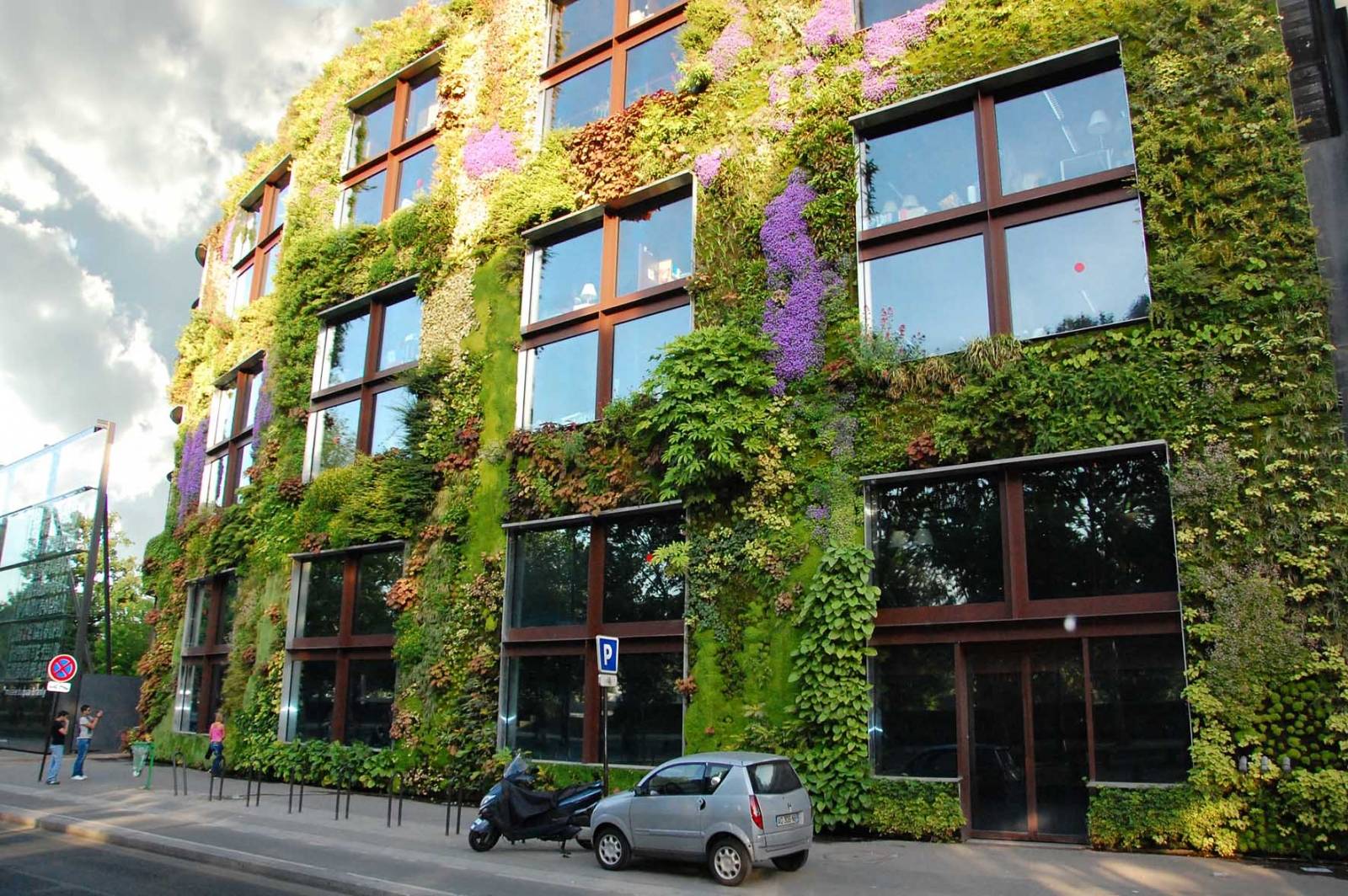 Вертикальное озеленение — 135 фото красивых идей и видео описание как правильно сделать вертикальное озеленение