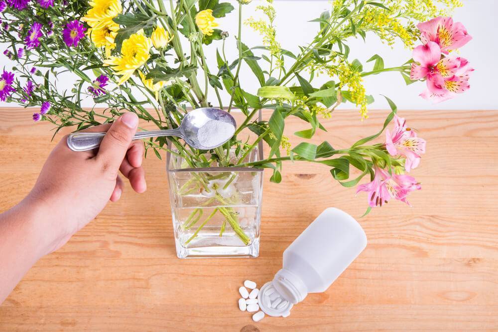 Как дольше сохранить букет цветов в вазе: уход в домашних условиях | клуб цветоводов