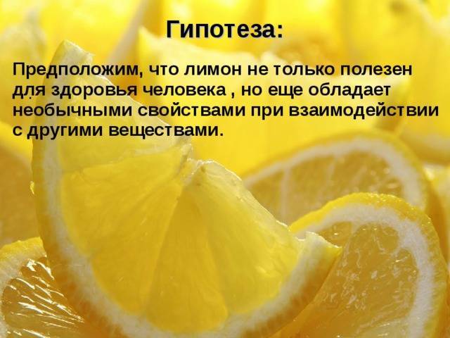Обрезка лимона в домашних условиях для плодоношения, как формировать комнатный лимон, последующий уход