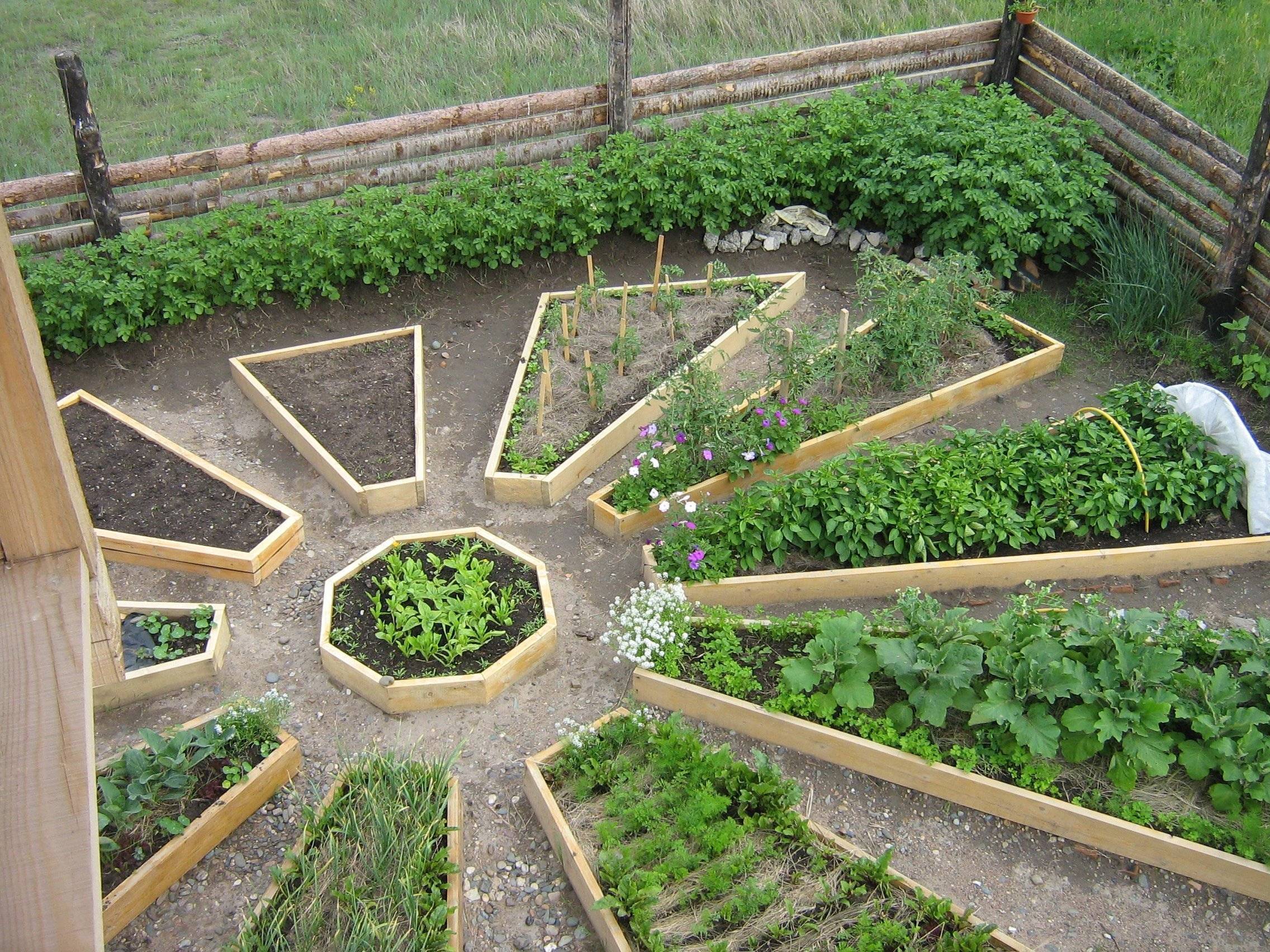 50 идей, как украсить огород и вырастить хороший урожай