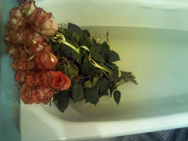 Уход за свежими цветами, как реанимировать увядшие розы в домашних условиях