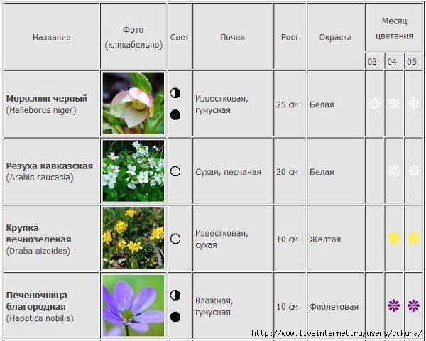 Время цветения многолетников [таблица цветения с сортировкой] | сад и огород
время цветения многолетников [таблица цветения с сортировкой] | сад и огород