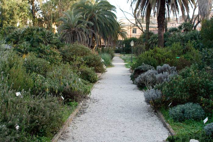 Ботанический сад в падуе - уникальные растения и достопримечательности