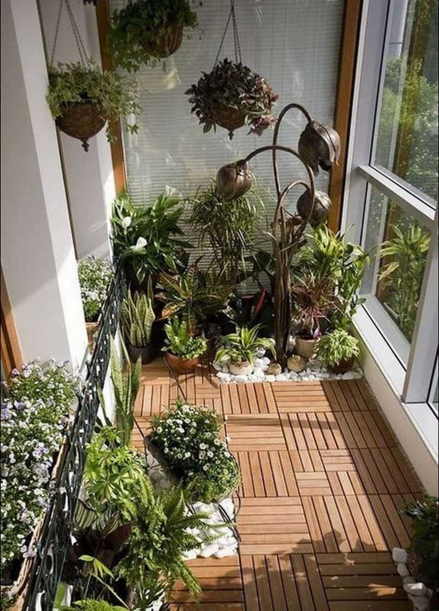 Balcony gardening. Оранжерея на лоджии. Сад оранжерея на балконе. Сад на теплом балконе. Зимний сад на лоджии.