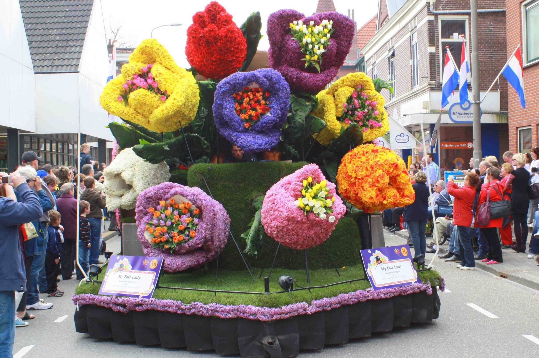 Волшебная и яркая весна в нидерландах: 3 миллиарда тюльпанов, нарциссов и гиацинтов | ген креативности | дзен