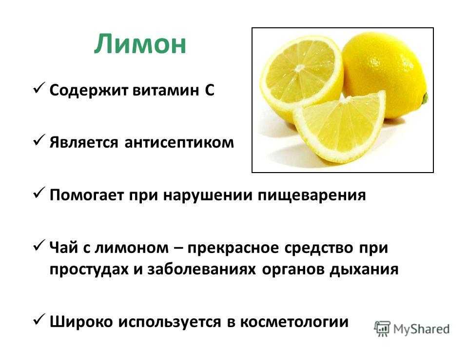 Лимонное дерево — как вырастить в домашних условиях
