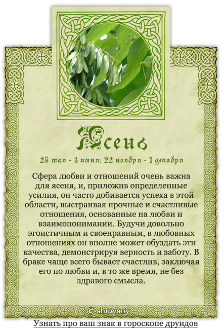 Календарь друидов по дате рождения: деревья, цветы, камни, животные