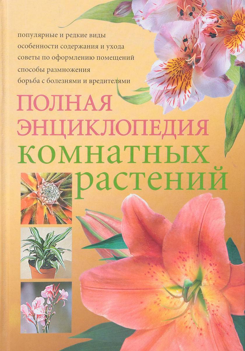 Комнатные цветы: фото и названия (каталог)