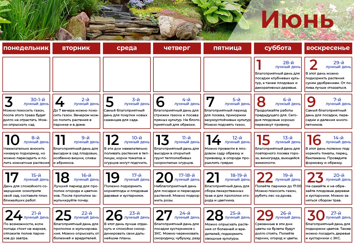 Лунный календарь огородника и садовода на апрель 2020 года. благоприятные дни для посадки растений в апреле 2020 — мир космоса