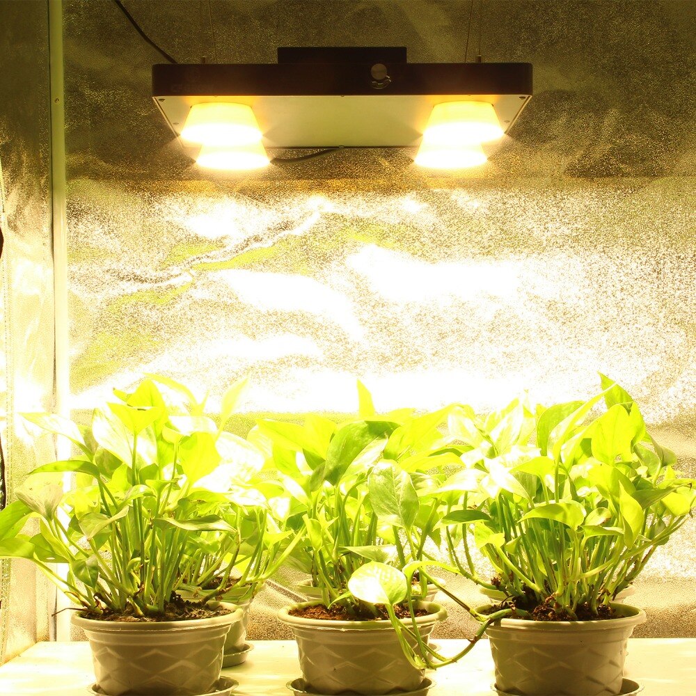 Досветка растений лампами на подоконнике и теплице