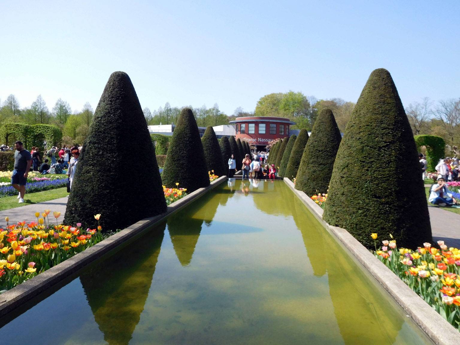 Парк тюльпанов кекенхоф и самые красивые тюльпанные поля нидерландов