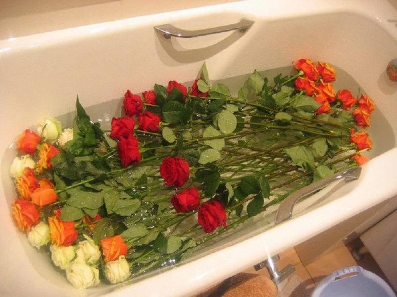 Как реанимировать розы в букете в домашних условиях