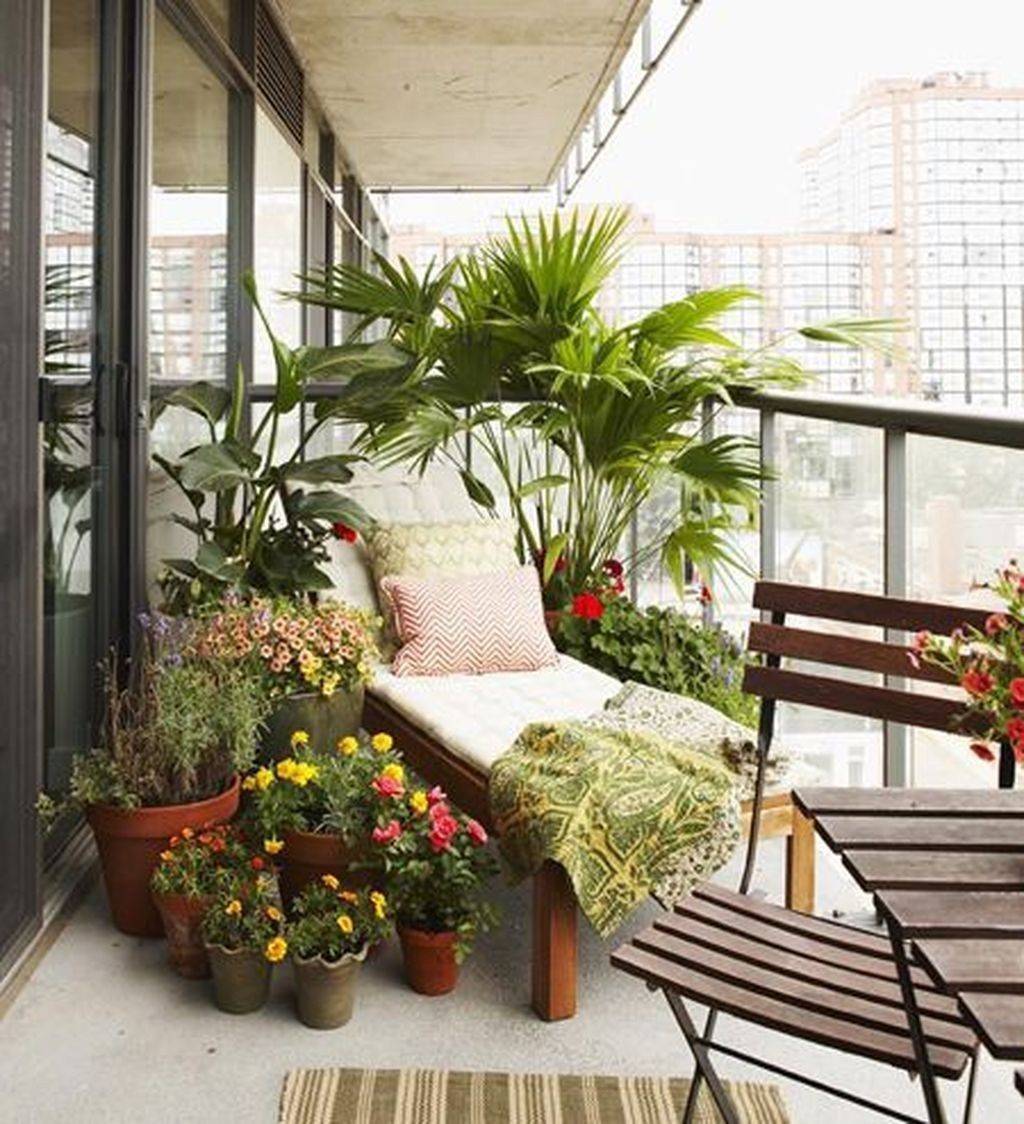 Озеленение балкона: какие цветы посадить и правила оформления пространства