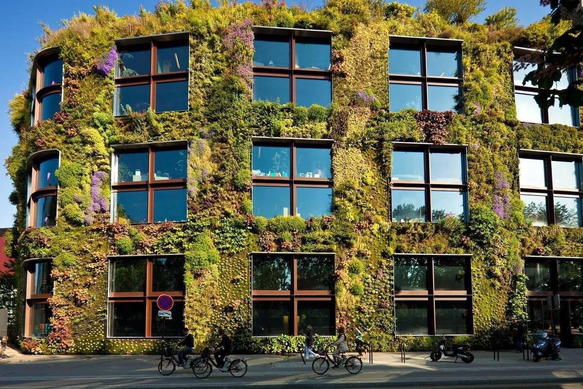 Вертикальное озеленение своими руками, в квартире, на даче, стен, фитомодуля, растения. вертикальное озеленение. создание "зеленых" стен в интерьере, в квартире и на участке.