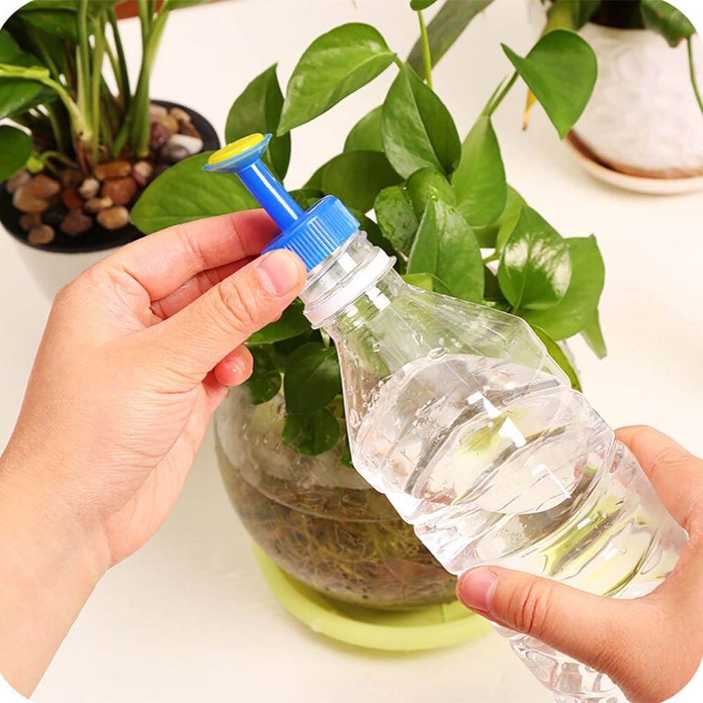 Вода для полива комнатных растений: все факторы!