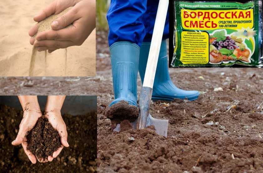 Почва для гортензии садовой и комнатной, состав, кислотность