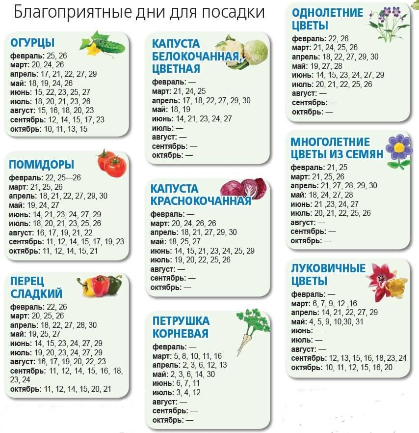Лунный календарь 2023 по месяцам посева, посадки цветов: таблица благоприятных дней - оазис в доме