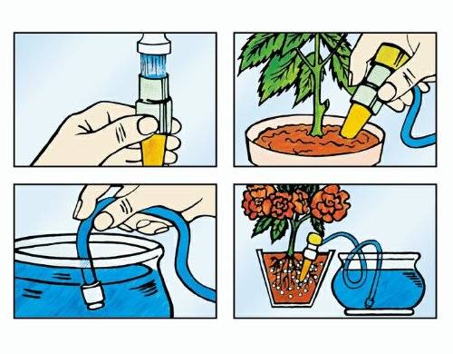 10 главных правил полива комнатных растений. фото — ботаничка