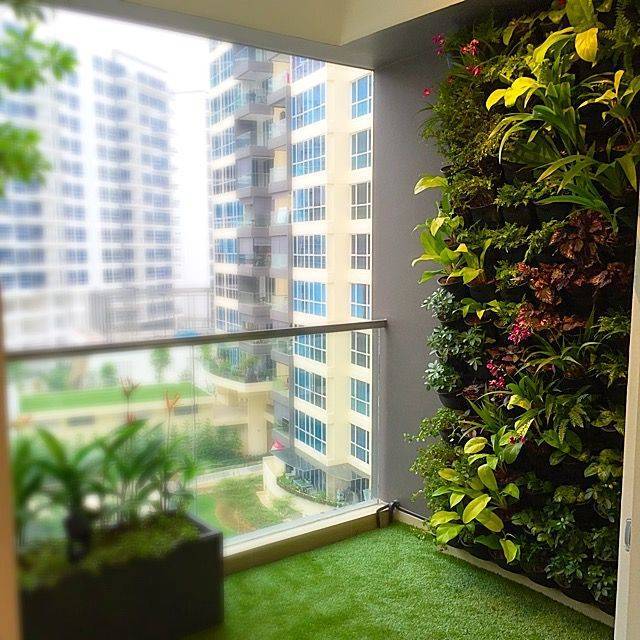 Идеи для озеленения балкона