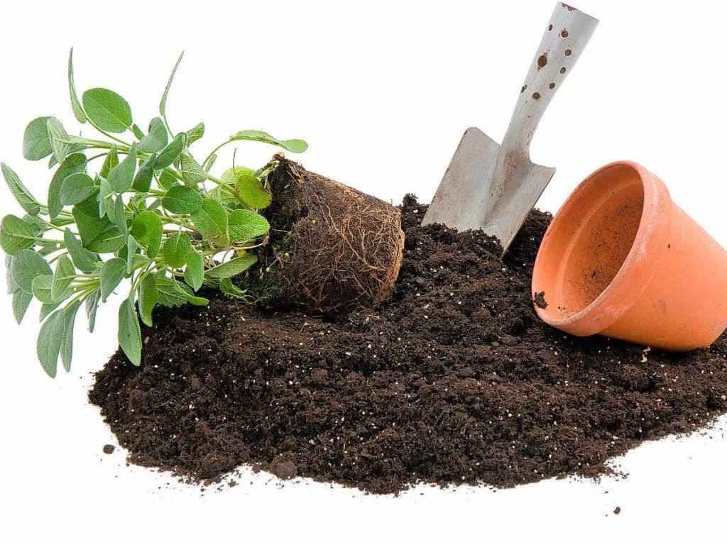 Как самому приготовить грунт для комнатных растений: компоненты идеальной почвосмеси