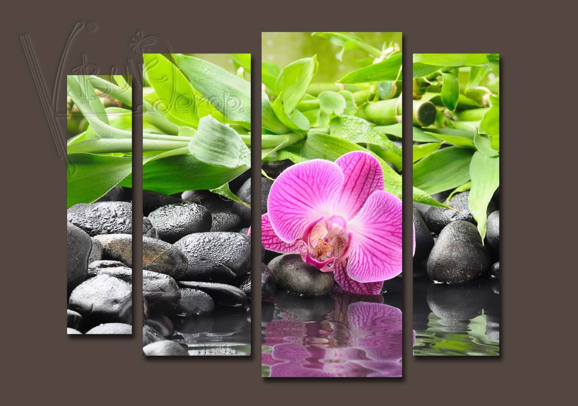 Символика орхидей. обсуждение на liveinternet