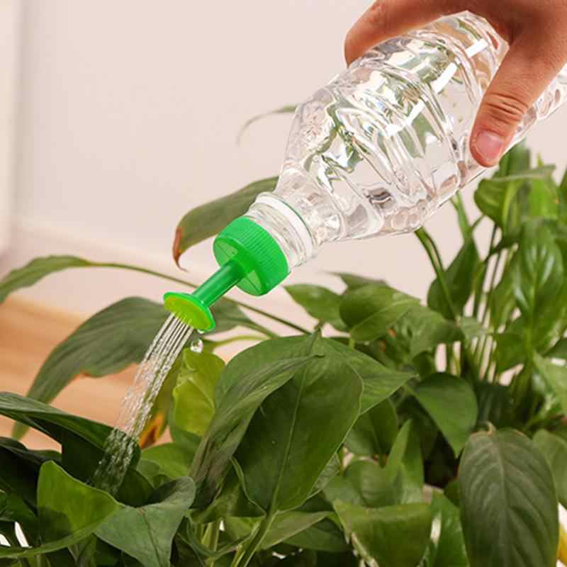 Как смягчить воду для полива растений в домашних условиях