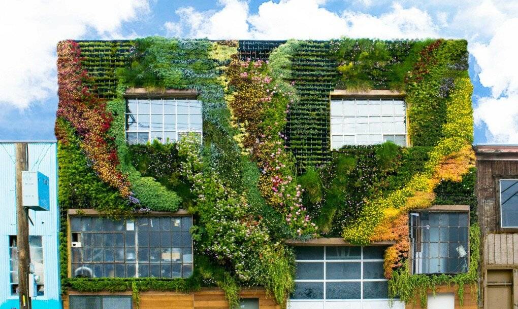 Вертикальное озеленение в ландшафтном дизайне: фото озеленения дачи своими руками, лианы и конструкции для них