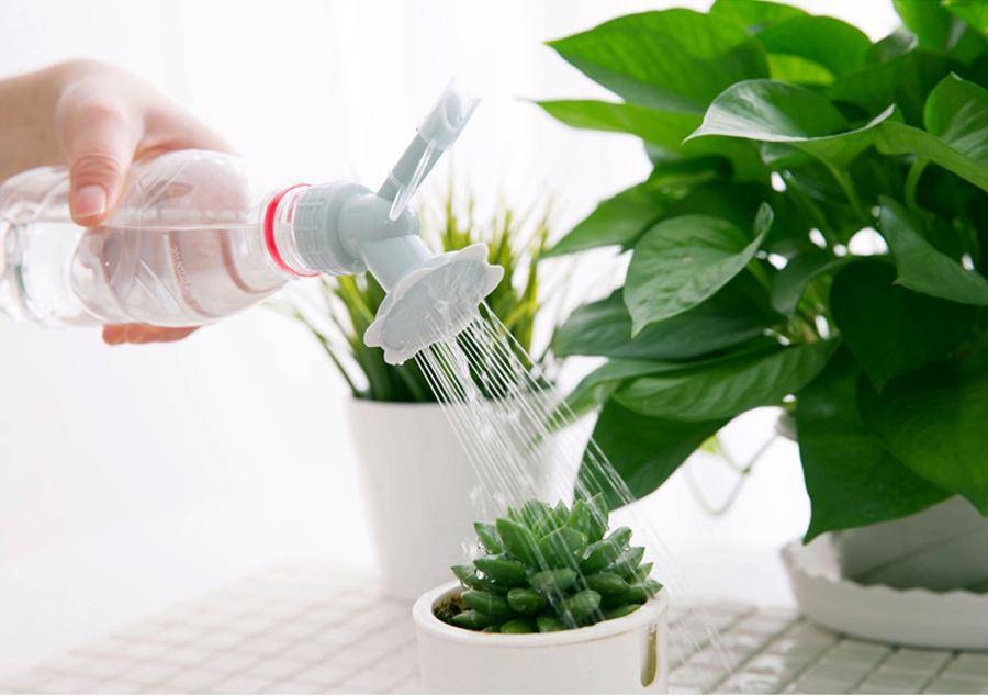 Как смягчить жесткую воду для полива цветов
